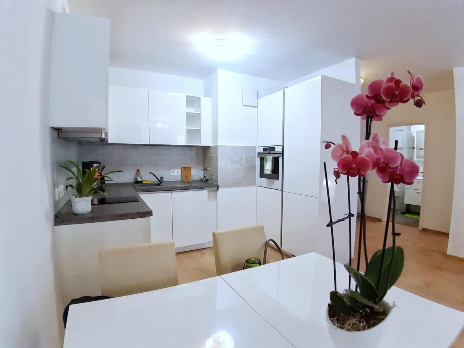 Lea Apartment Zentrum 莱比锡 外观 照片
